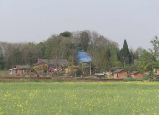 Tomb mound surrounded by a field and a forest.