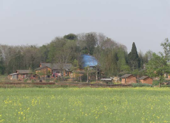 Tomb mound surrounded by a field and a forest.